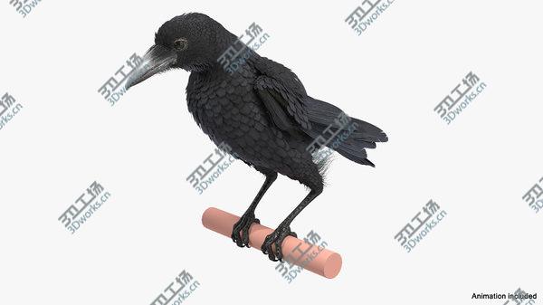images/goods_img/20210312/Raven Animated Collection 3D model/2.jpg